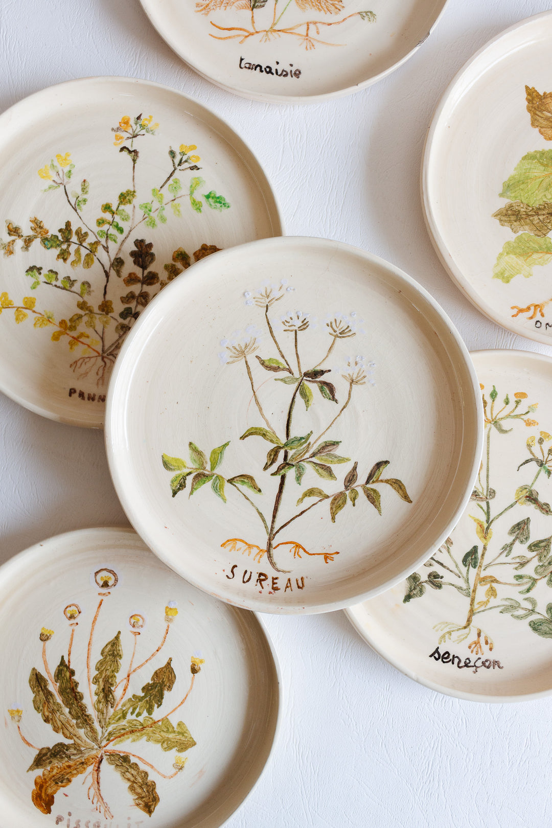 vintage french hand painted artisanal botanical plates, set of 6