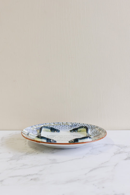 rare 19th century frères amieux majolica sardine plate