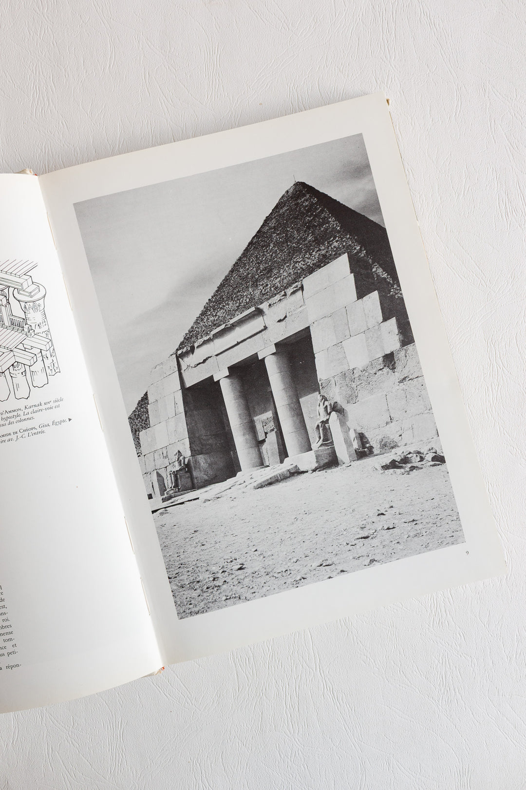 "anatomie de l'architecture" vintage book