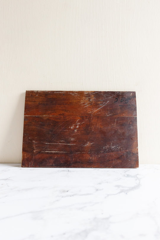 au milieu des arbres