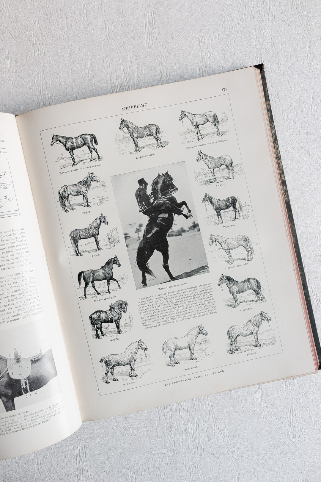 "les sports modernes illustrés" book circa 1905