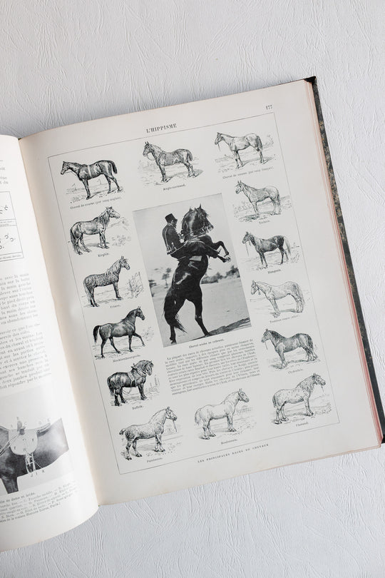 "les sports modernes illustrés" book circa 1905