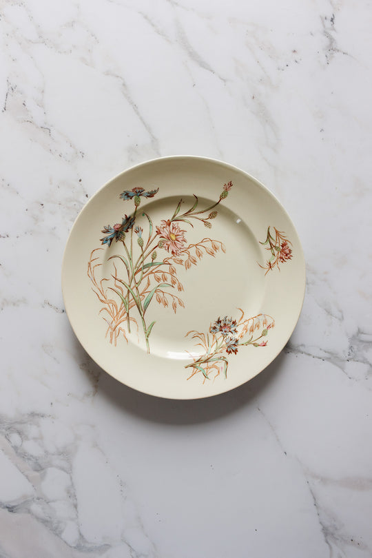 rare antique French Lunéville faïence "bluet" polychrome plate