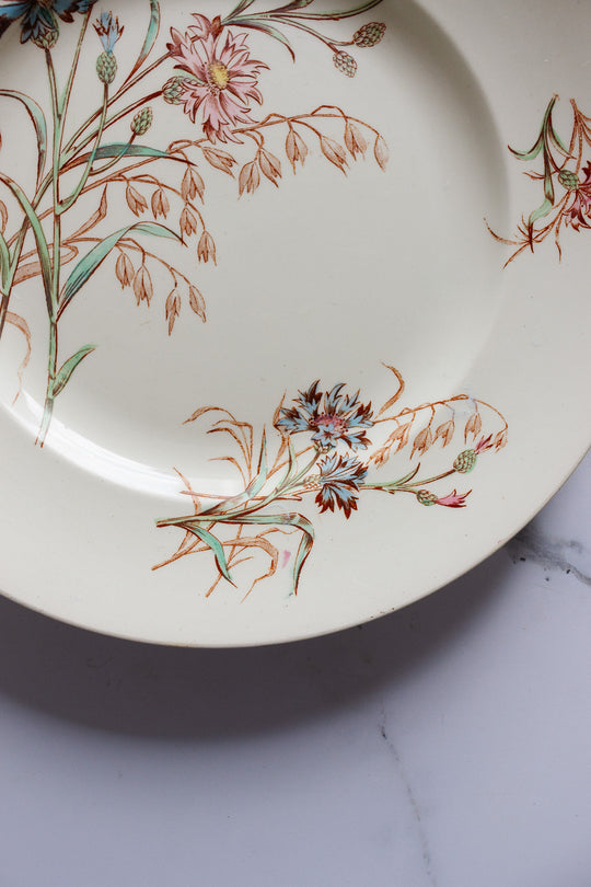 rare antique French Lunéville faïence "bluet" polychrome plate