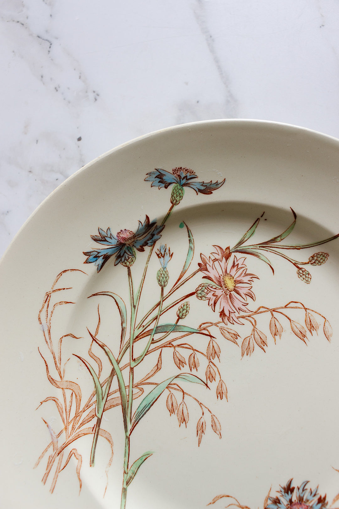 rare antique French Lunéville faïence "bluet" polychrome plate