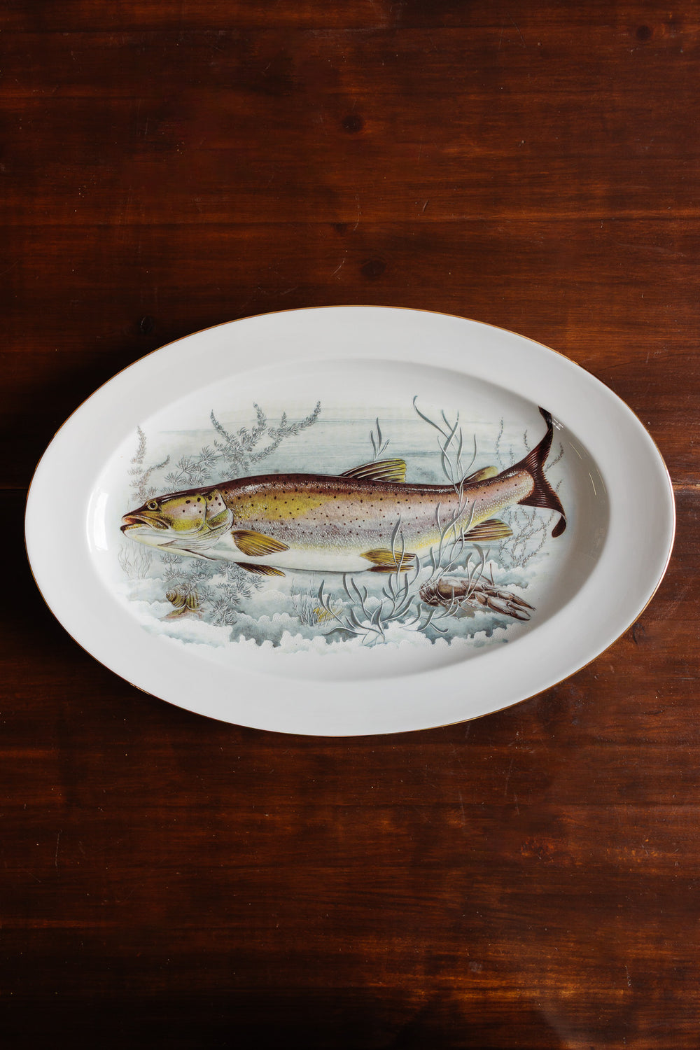midcentury french porcelaine de limoges fish platter