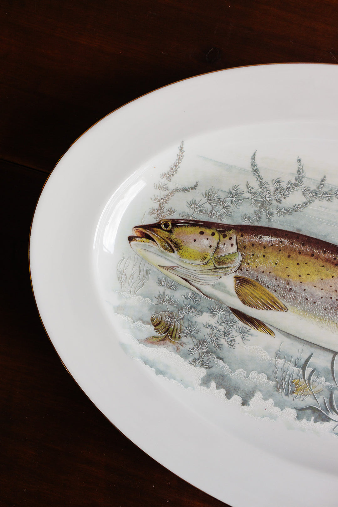 midcentury french porcelaine de limoges fish platter