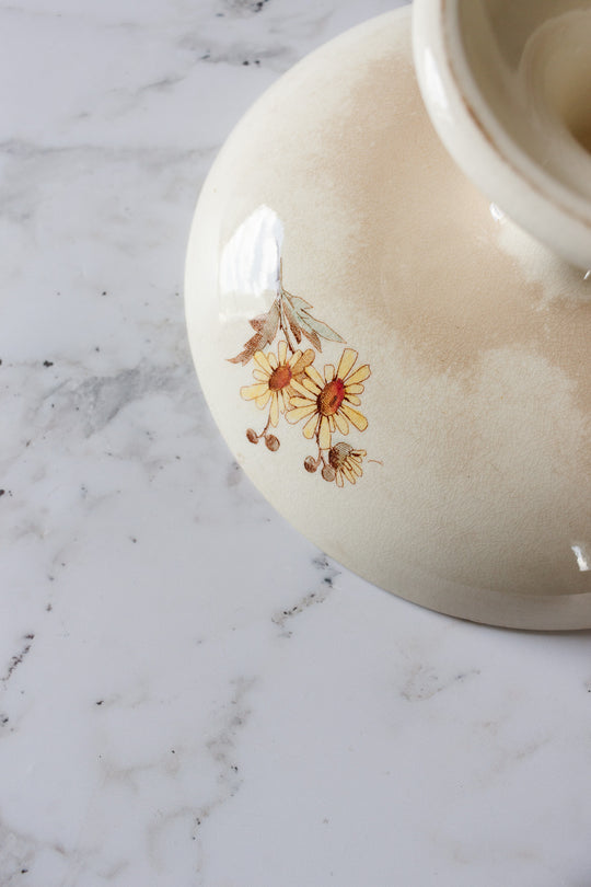 antique french hb & cie terre de fer polychrome compotier