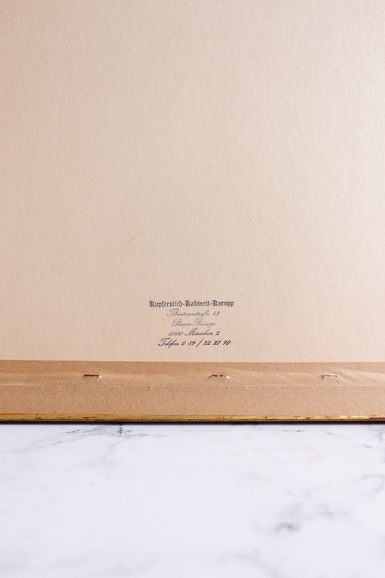 schrannenplatz in munchën