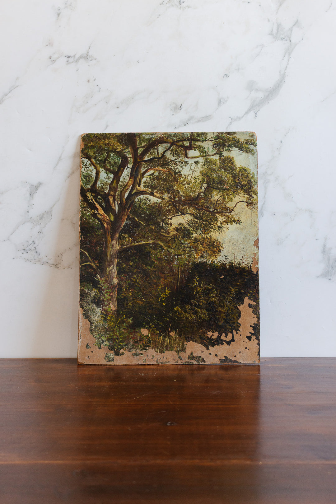 arbres dans le jardin