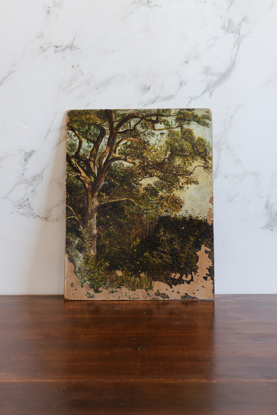 arbres dans le jardin
