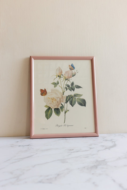 vintage french framed PJ Redouté botanical lithograph