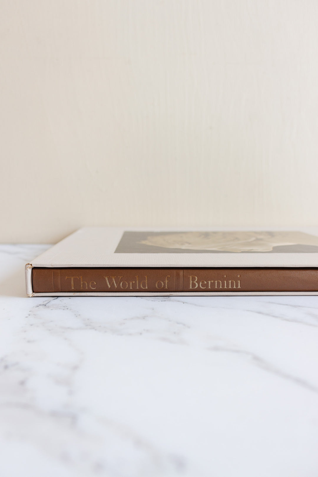 the world of bernini