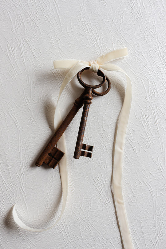 set of 2 antique french large iron skeleton keys