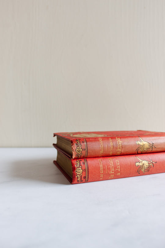 antique French hardcover books, “Bibliothèque du Petit Français”