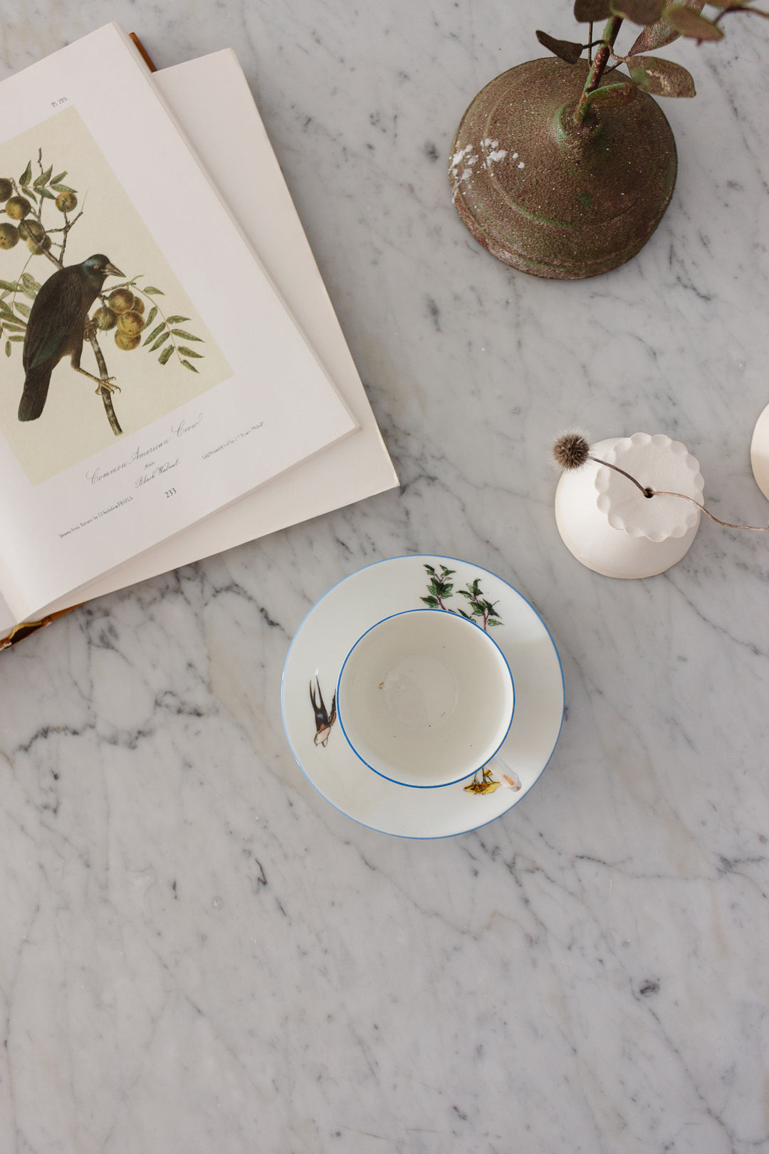 rare 1880s limoges hand painted flora and fauna teacups, set of 5