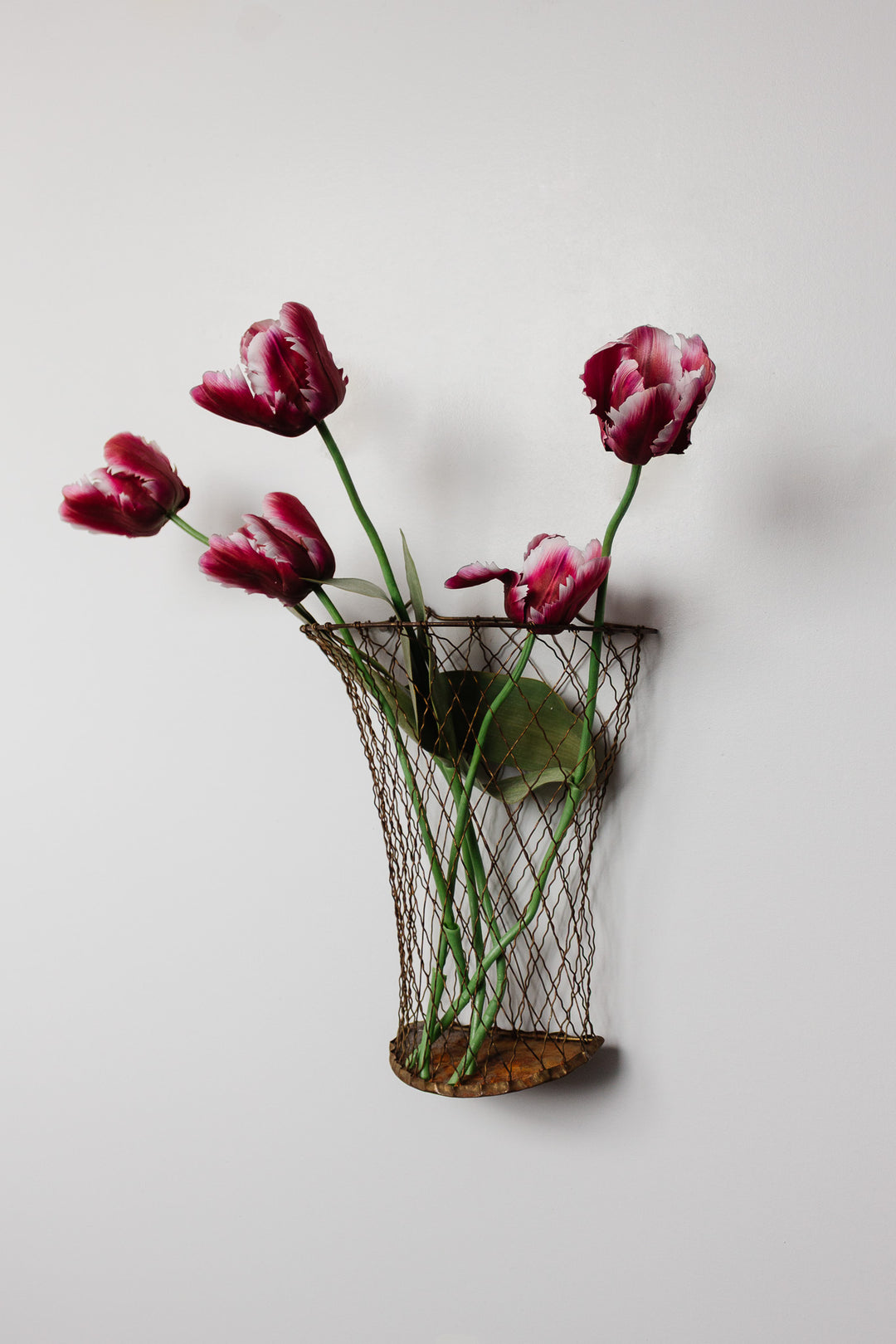 antique french wall mounted florist's wire basket