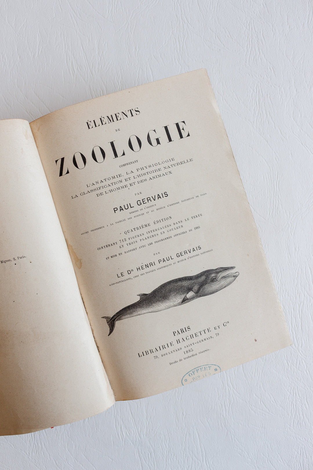 Éléments de zoologie par p. gervais