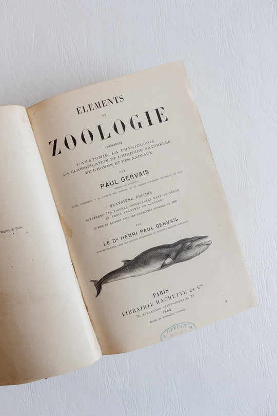 Éléments de zoologie par p. gervais