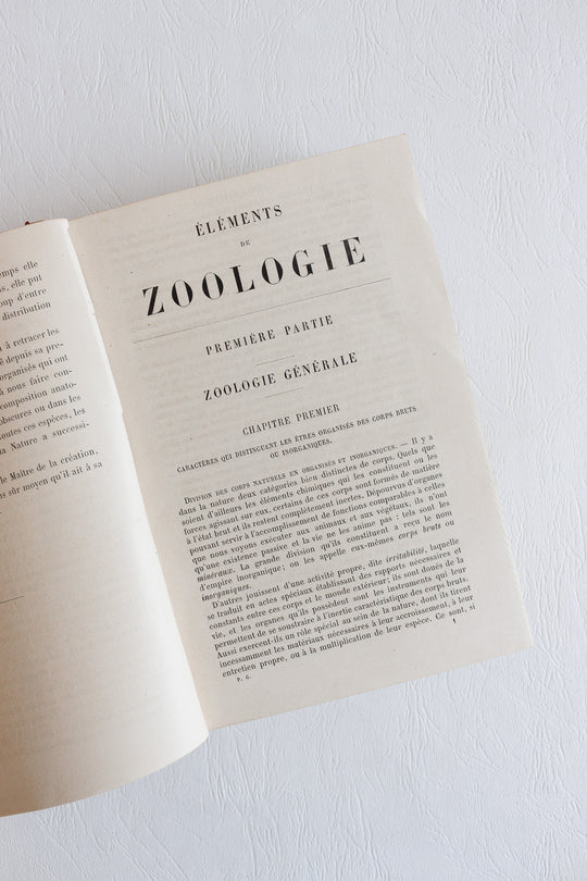 Éléments de zoologie par p. gervais