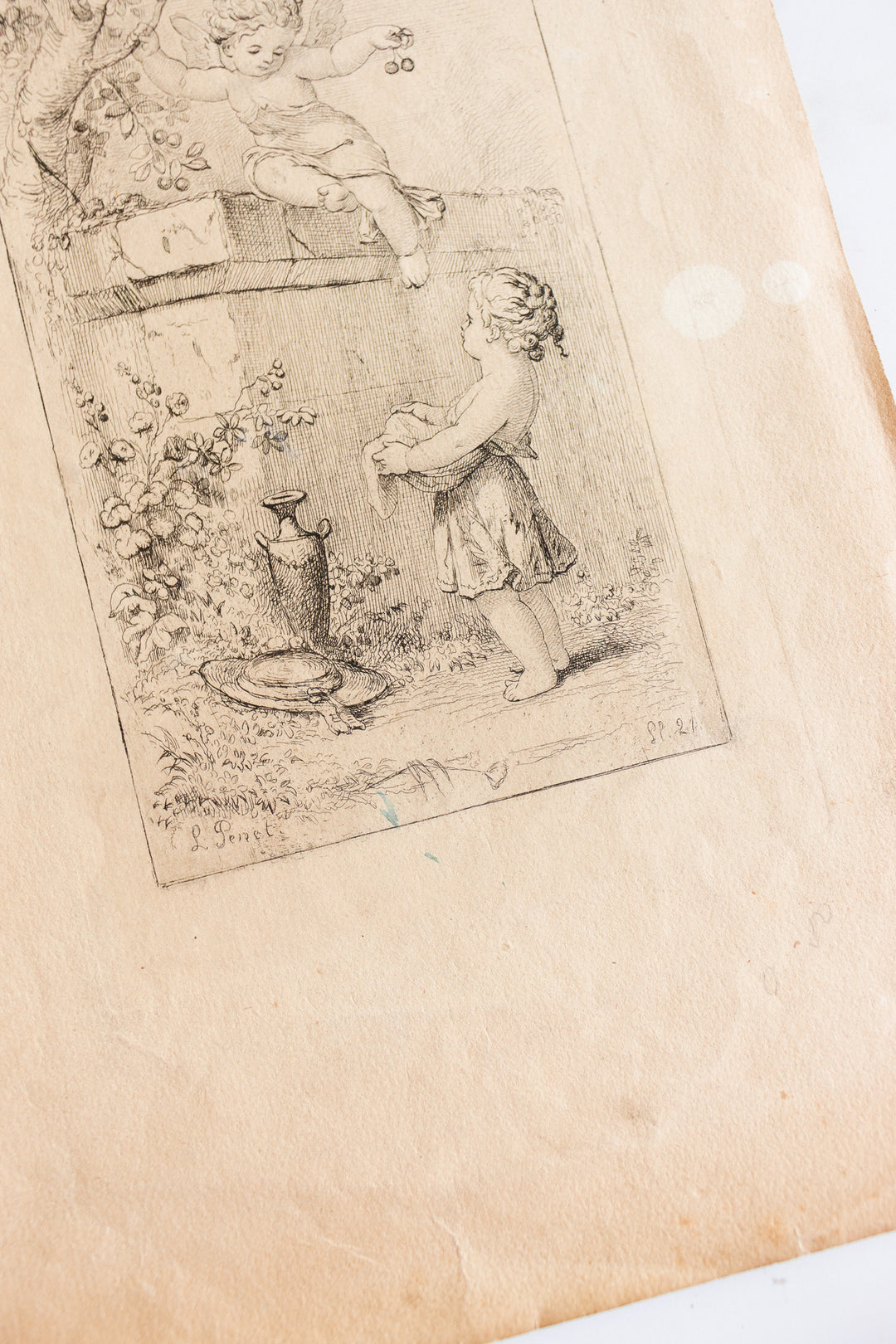 Antique french cherub engraving