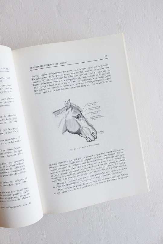 encyclopédie du cheval 1964