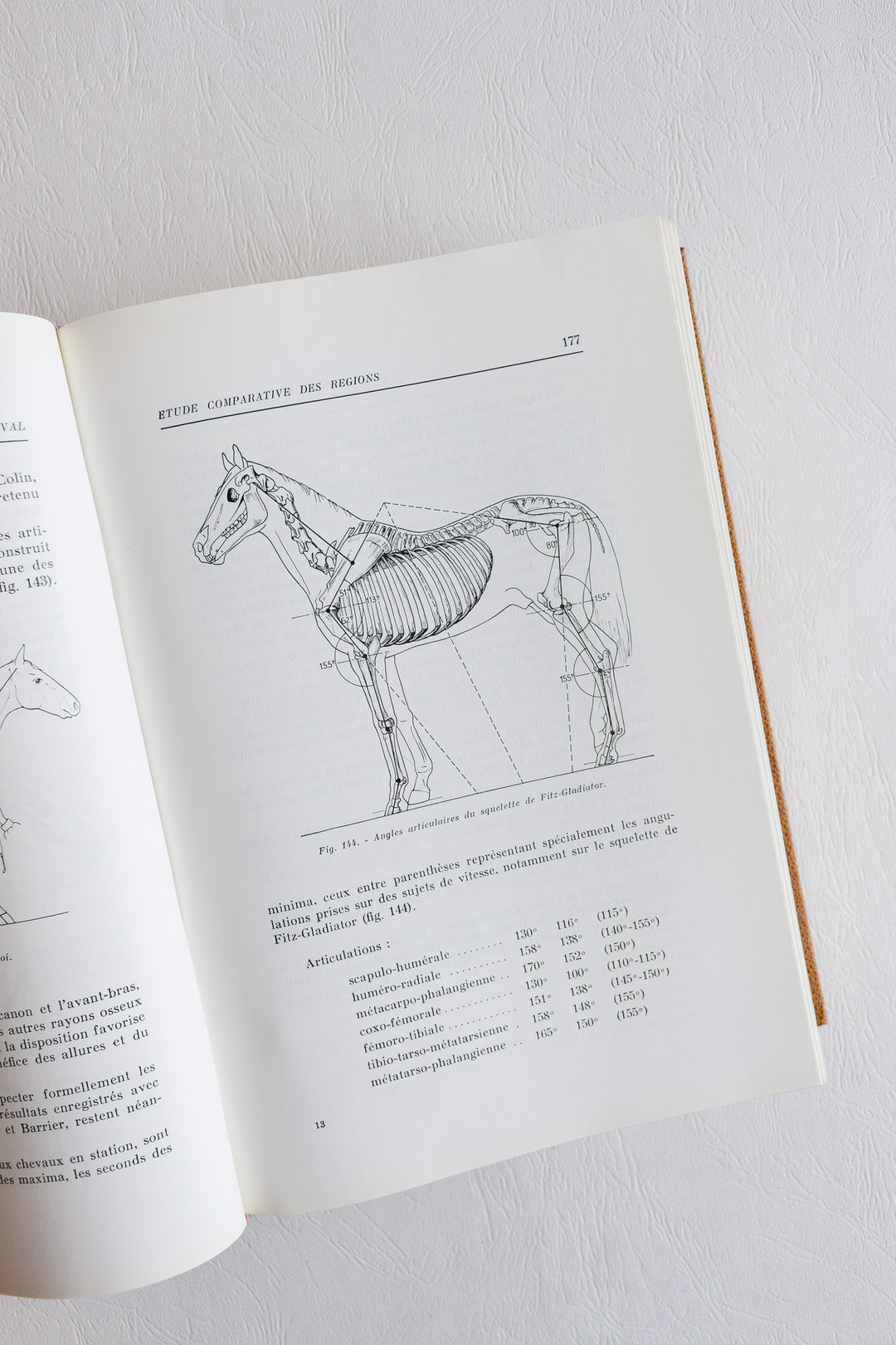 encyclopédie du cheval 1964