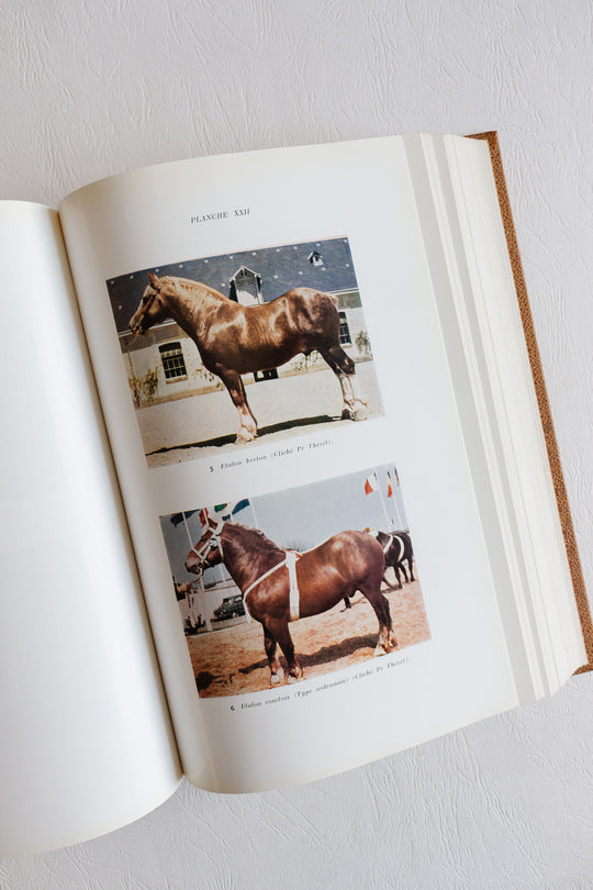 encyclopédie du cheval 1964