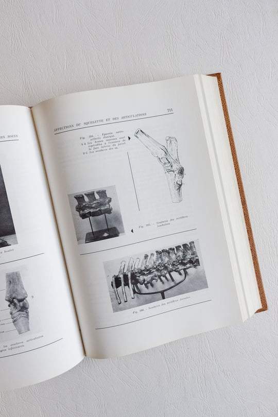 encyclopédie du cheval 1964