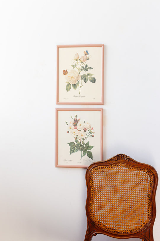 vintage french framed PJ Redouté botanical lithograph