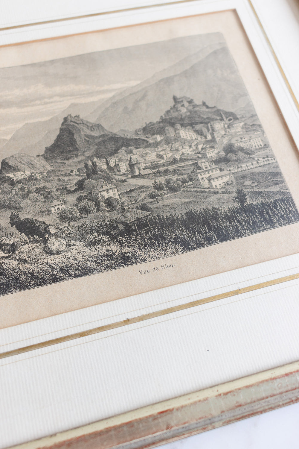 19th century French engraving, “vue du sion”