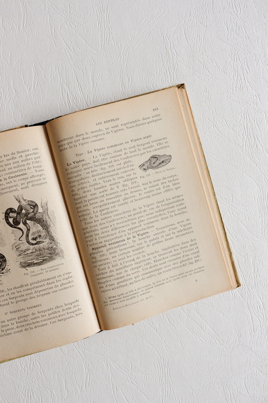 pair of antique french illustrated "zoologie botanique" textbooks
