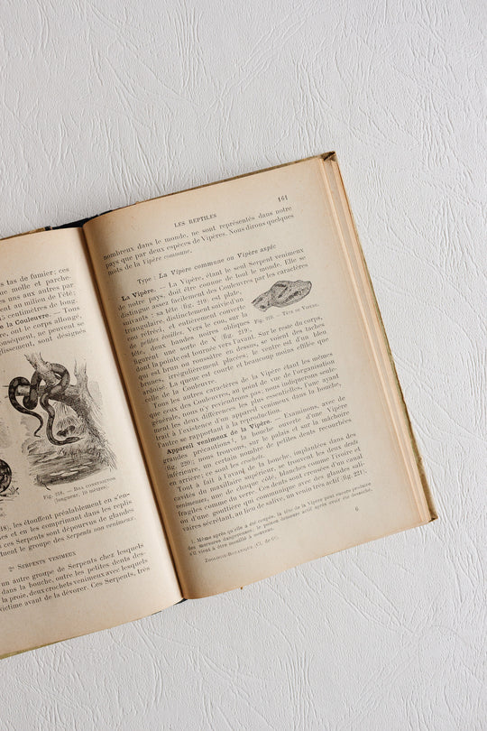pair of antique french illustrated "zoologie botanique" textbooks