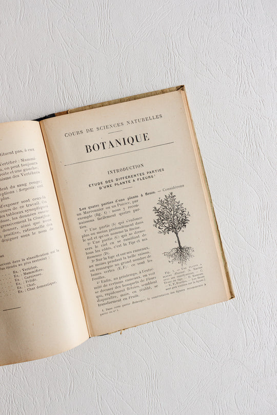 pair of antique french illustrated "zoologie botanique" textbooks