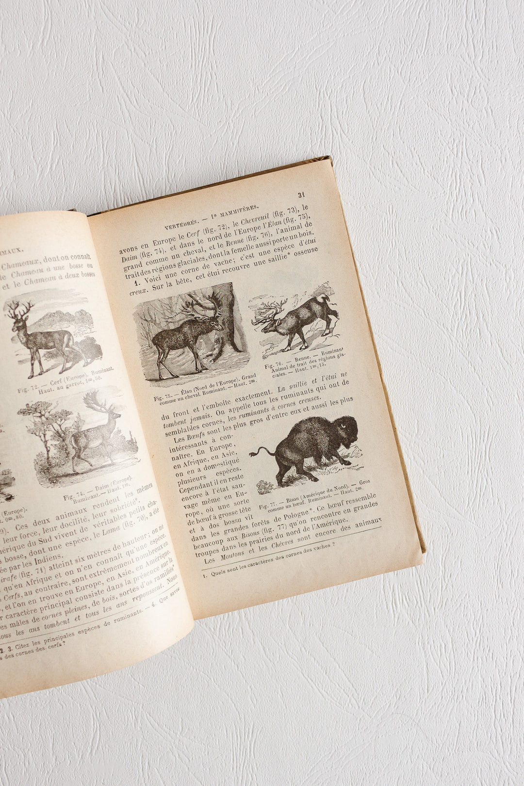 pair of antique french illustrated "zoologie botanique" textbooks