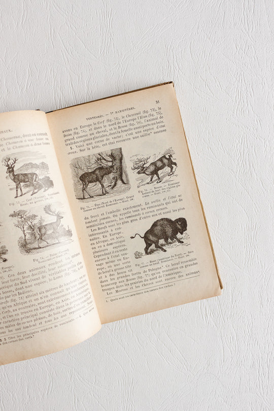 pair of antique french illustrated "zoologie botanique" textbooks