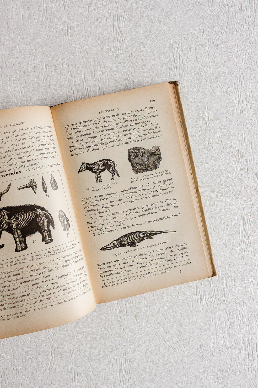 pair of antique french illustrated "zoologie botanique" textbooks