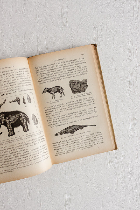 pair of antique french illustrated "zoologie botanique" textbooks