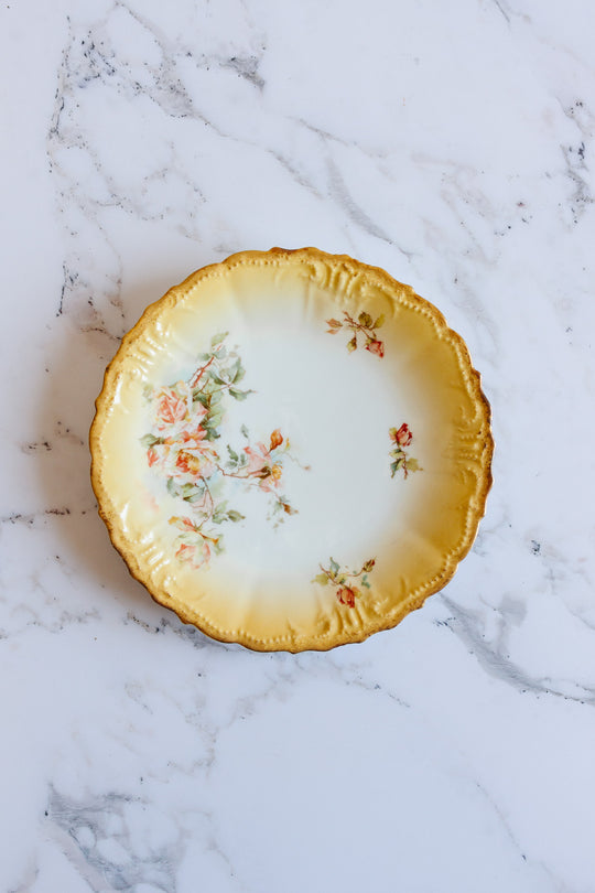 antique French Limoges porcelain dinner plates, set of 4