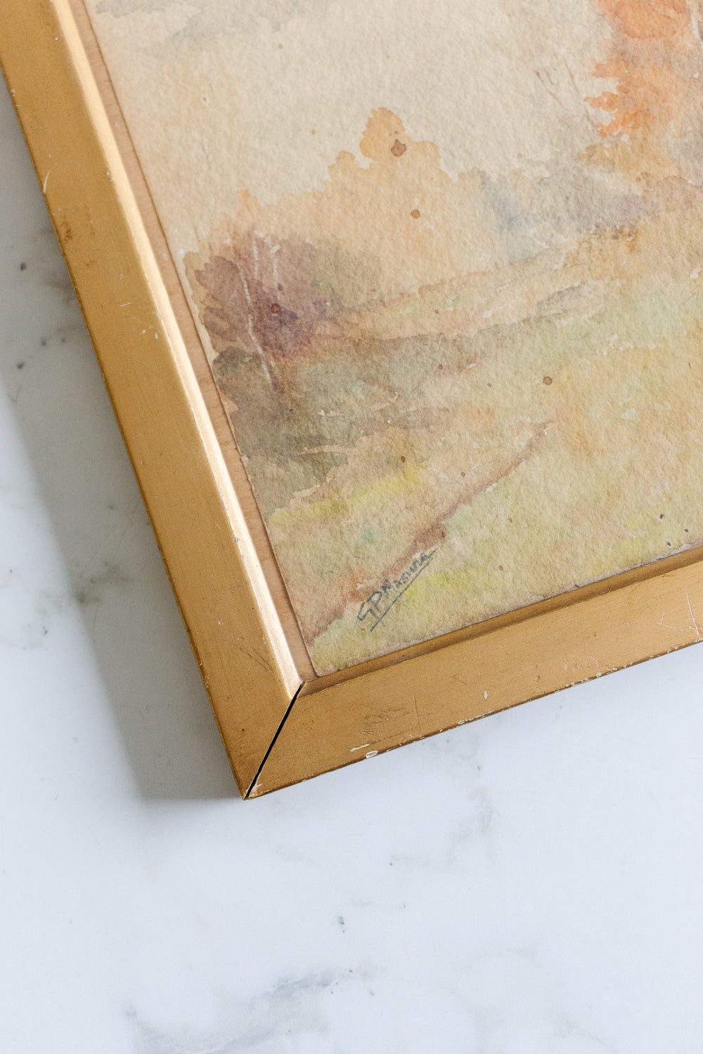 un paysage d'automne