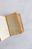 antique french "guide conty" travel book