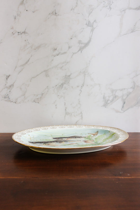 antique limoges france fish serving platter