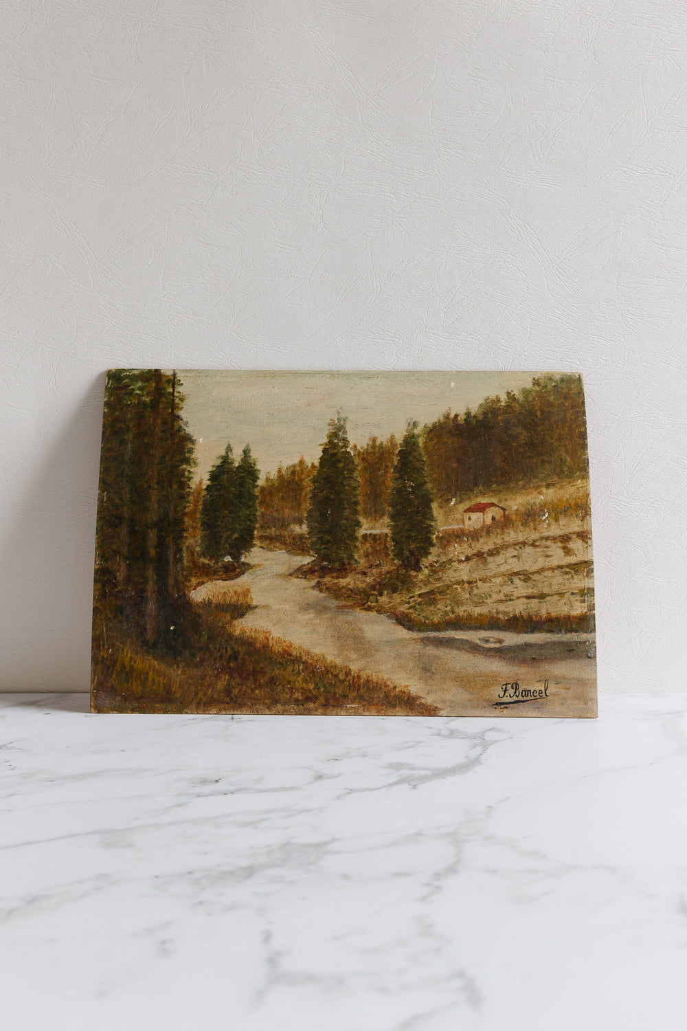 dans la forêt