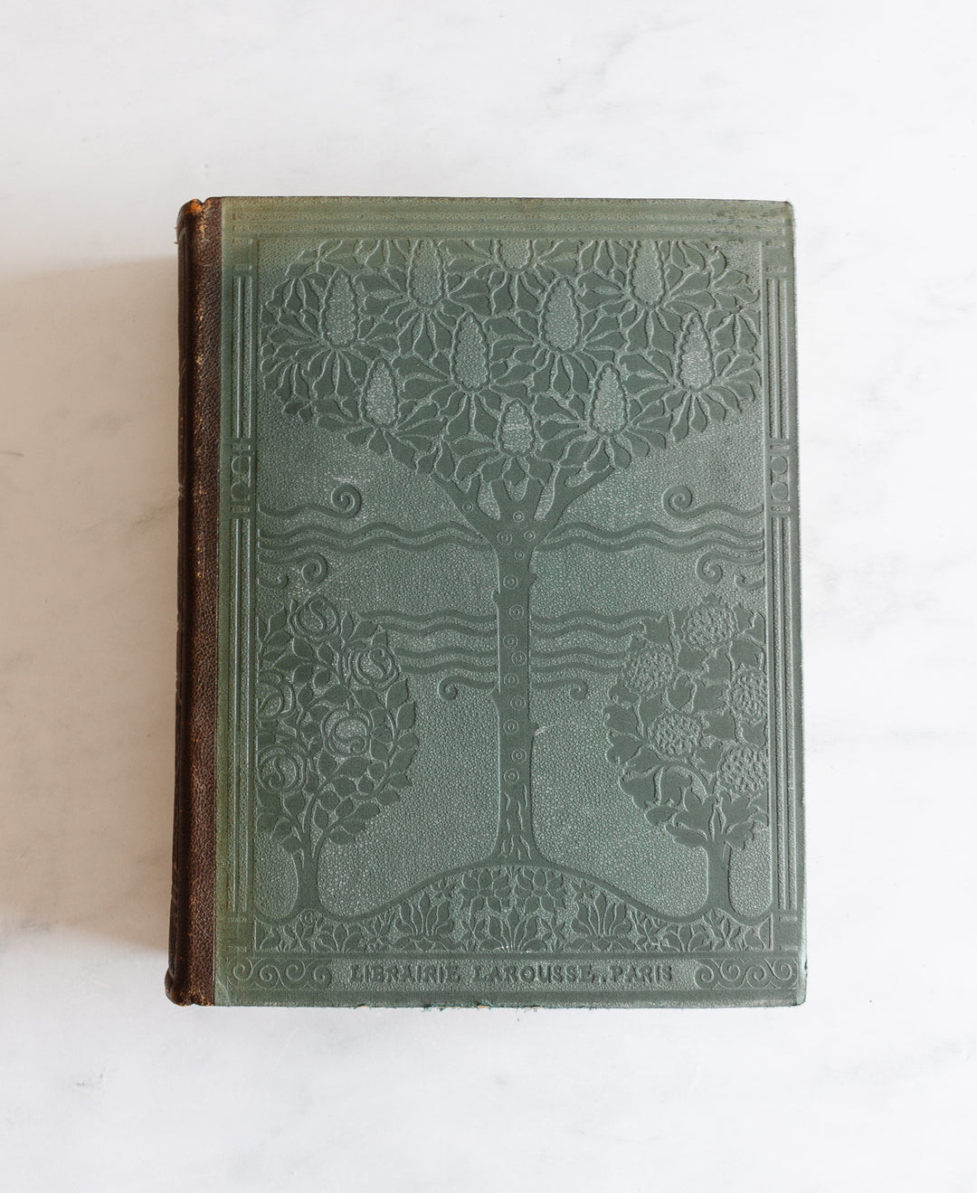 Turn of the century french “larousse Paris” encyclopedia