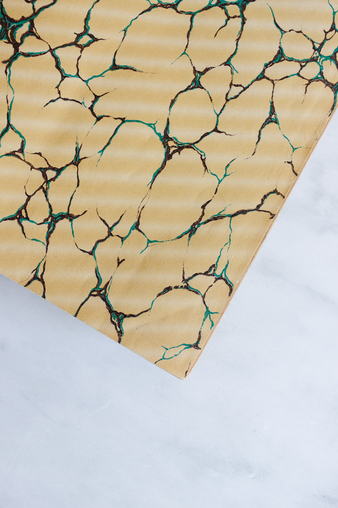 Turn of the century french “larousse Paris” encyclopedia