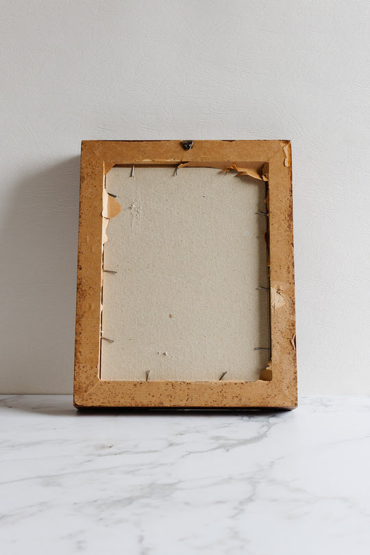 cruciata montana minor flore cœruleo