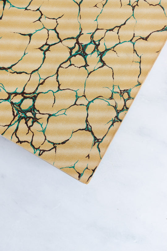 Turn of the century french “larousse Paris” encyclopedia