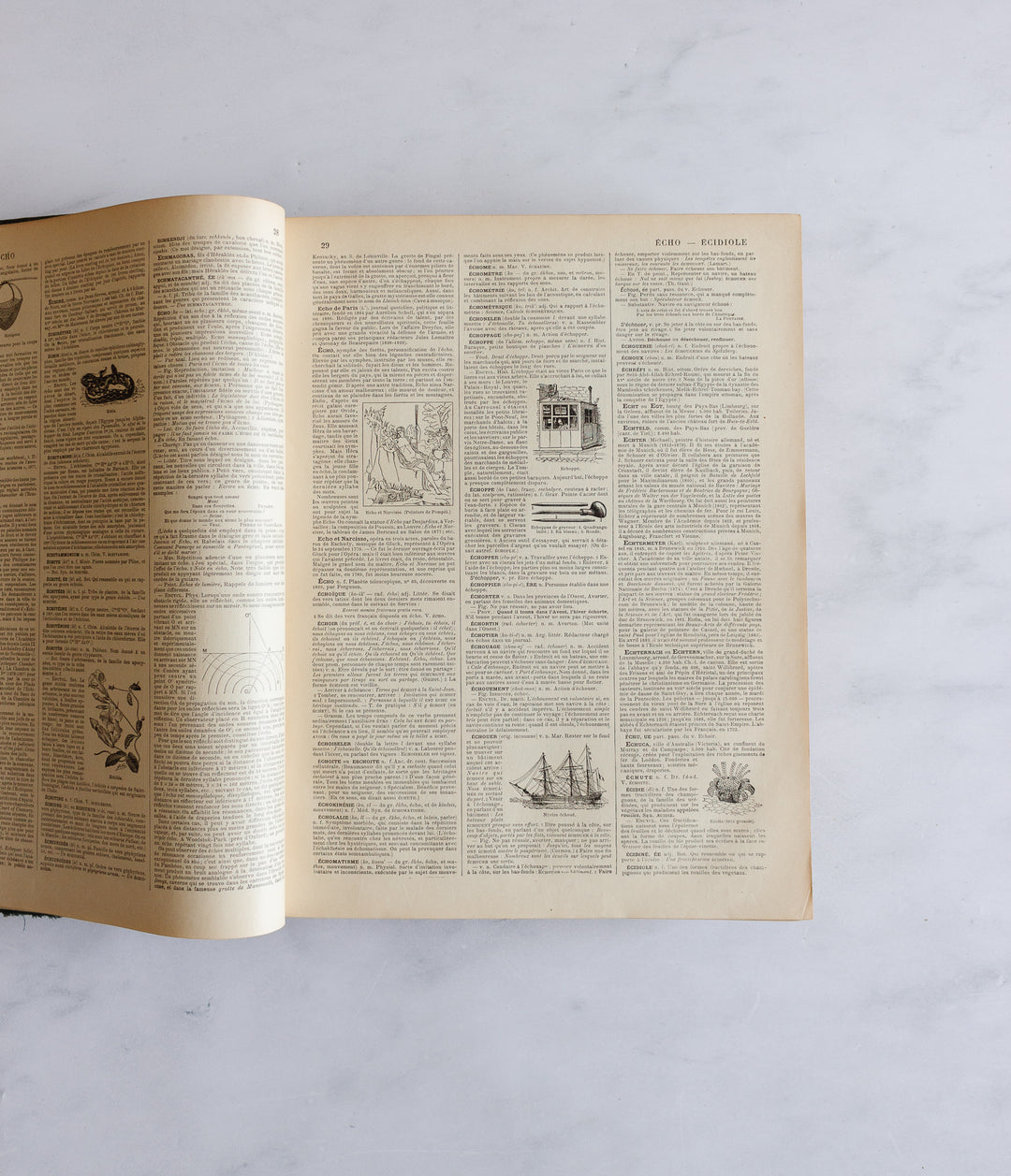 Turn of the century french “larousse Paris” encyclopedia
