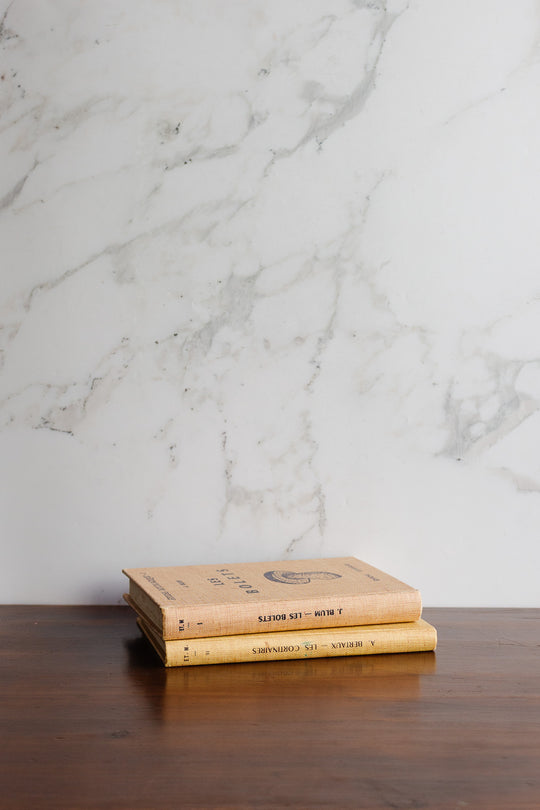 1960s "études mycologiques" series pair of books