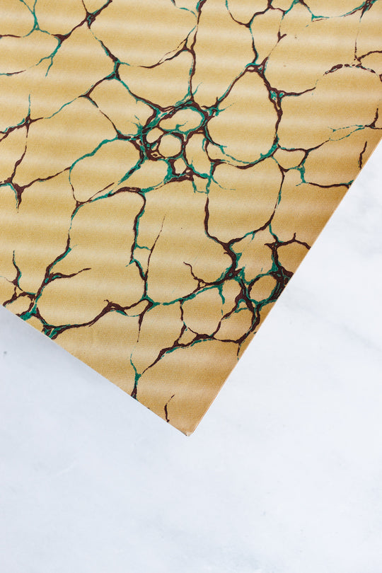 Turn of the century french “larousse Paris” encyclopedia